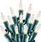 100-Count 25ft Clear Mini Christmas String Lights – Warm White Incandescent Bulbs on Green Wire, Indoor & Outdoor Holiday, Birthday, Wedding, and Party Decoration (Clear Warm White)